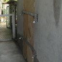 DSC09954