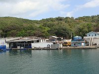 DSC08528