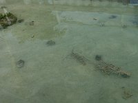 DSC08586